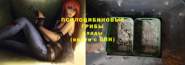 ECSTASY Абаза