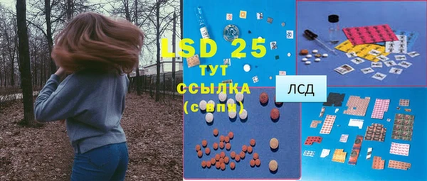 ECSTASY Абаза